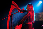 Dara Dubh