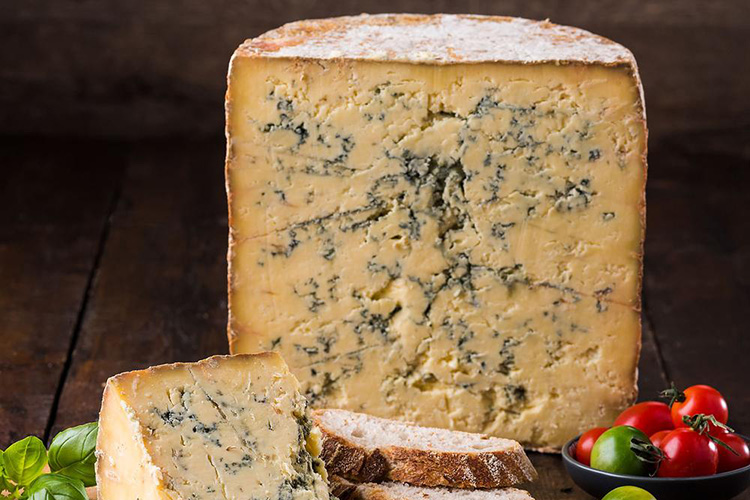 Keeping it Mouldy: A Faculty Lecture with Mike’s Fancy Cheese