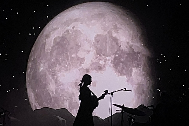 Moon Songs: The Phoebe Bridgers Project/Amhráin na Gealaí: Tionscadal Phoebe Bridgers