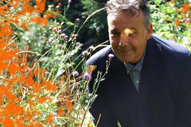 Rob Newman: Where the Wild Things Were