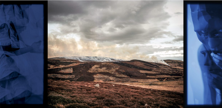 ‘The Lie of the Land’ Joanne Coates